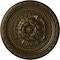 Ekena Millwork Palmetto Ceiling Medallion, Hand-Painted Brass, 11 1/2"OD x 1"P CM11PABRS - alternate 1